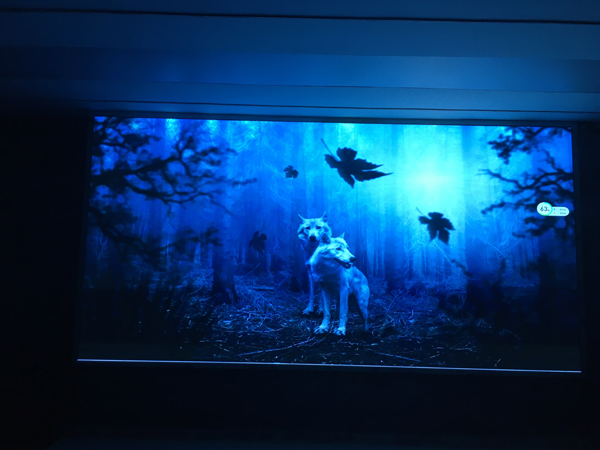 九江市第一中学八里湖校区Q2pro